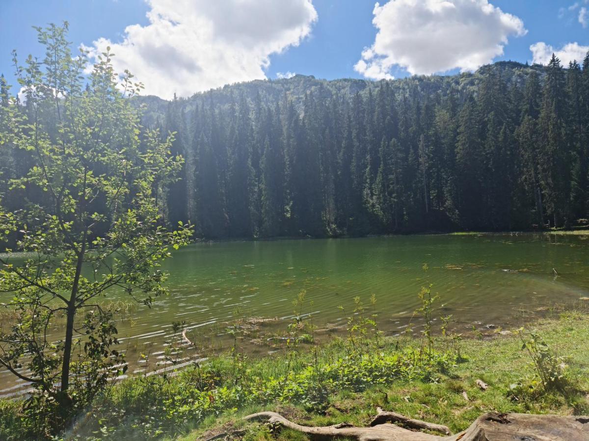 Holiday Home Mountain Žabljak Eksteriør billede